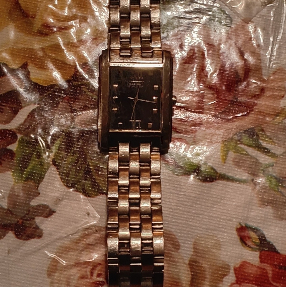 Citizen Stiletto Eco-Drive E030-H31713 Watch